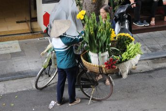 IMG_6328